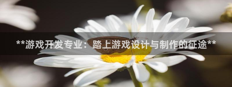 沐鸣娱乐2代理