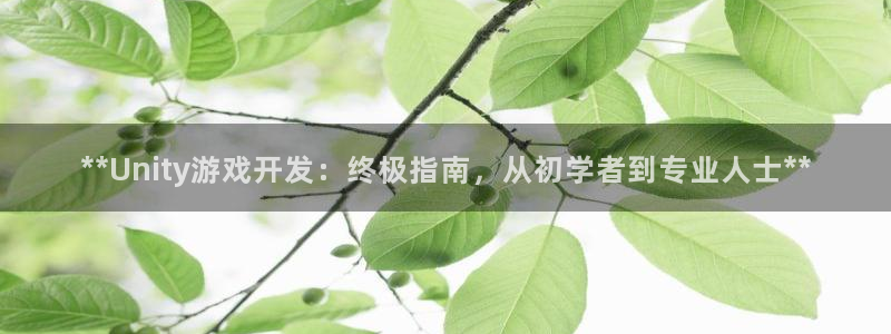 沐鸣2官网