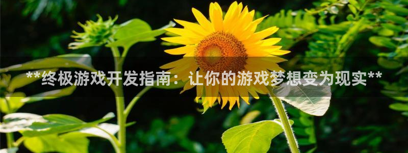 沐鸣娱乐2官方平台