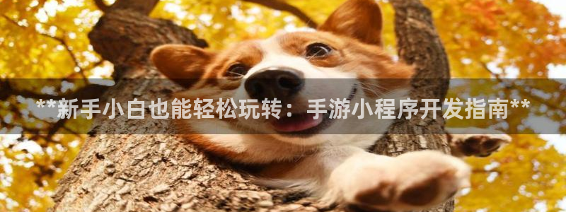 沐鸣娱乐2不能注册