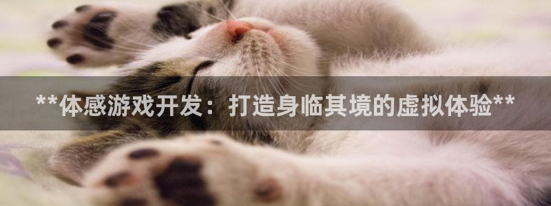 沐鸣娱乐2登录平台是什么