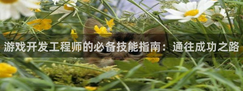 沐鸣2多少年
