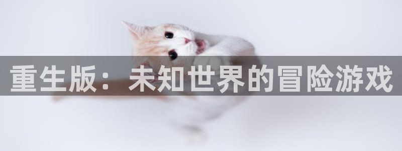沐鸣娱乐2的分分彩：重生版：未知世界的冒险游戏