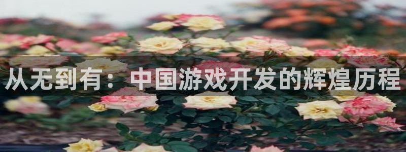 沐鸣2平台是杏彩的吗：从无到有：中国游戏开发的辉煌历程