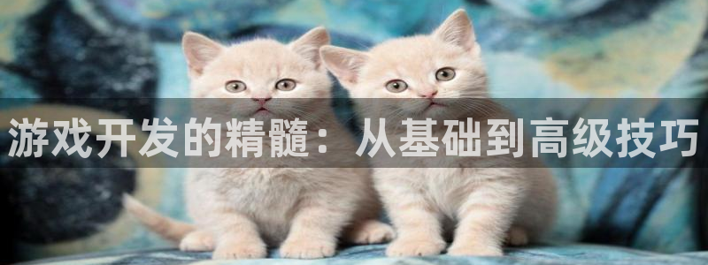 沐鸣娱乐2返点：游戏开发的精髓：从基础到高级技巧