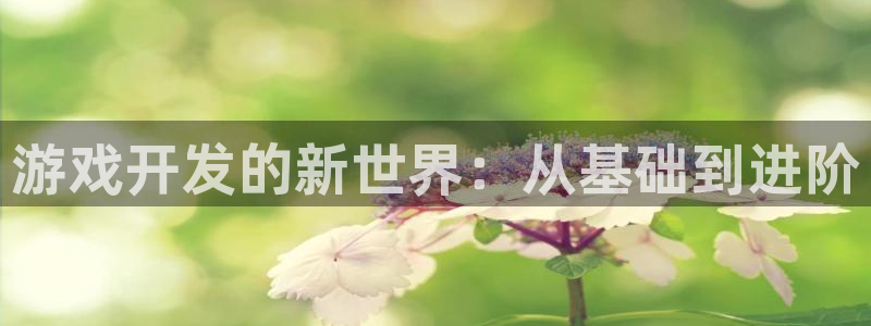 沐鸣娱乐2注册平台：游戏开发的新世界：从基础到进阶