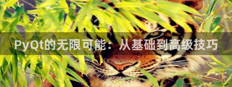 沐鸣娱乐2是干嘛的：PyQt的无限可能：从基础到高级技巧