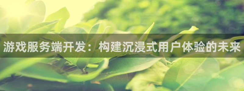 沐鸣2注册连接：游戏服务端开发：构建沉浸式用户体验的未来