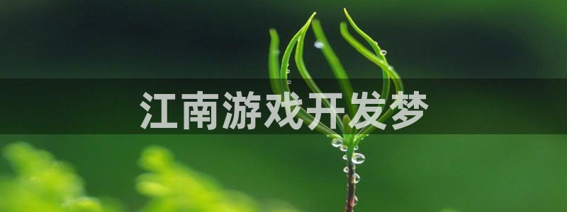 沐鸣娱乐2测速：江南游戏开发梦