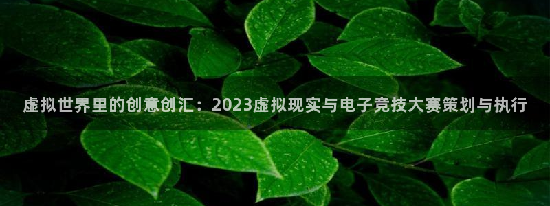 沐鸣2注册登陆：虚拟世界里的创意创汇：2023虚拟现实与电子竞技大赛策划与执行