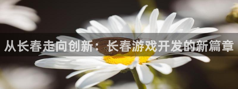 沐鸣2登录注册：从长春走向创新：长春游戏开发的新篇章