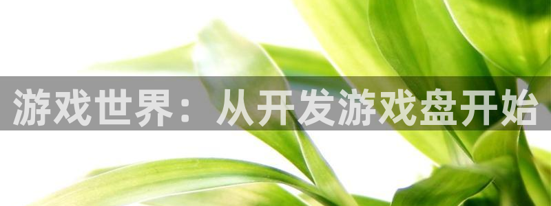 沐鸣娱乐2官方网站：游戏世界：从开发游戏盘开始