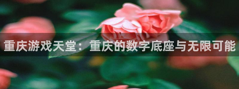 沐鸣2注册地址：重庆游戏天堂：重庆的数字底座与无限可能