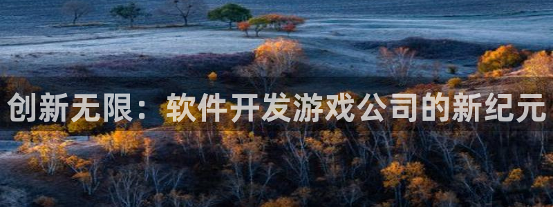 沐鸣2注册首页：创新无限：软件开发游戏公司的新纪元