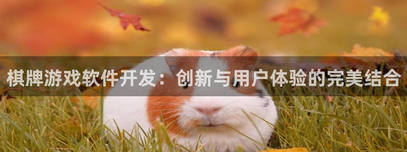 沐鸣娱乐2下载：棋牌游戏软件开发：创新与用户体验的完美结合
