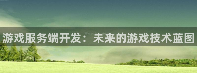 沐鸣2撤35994还和：游戏服务端开发：未来的游戏技术蓝图