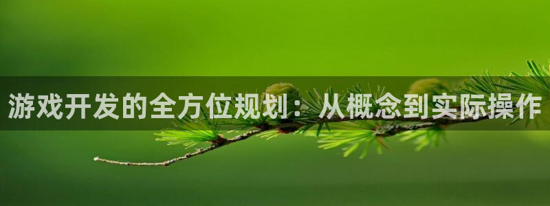 沐鸣2平台招商：游戏开发的全方位规划：从概念到实际操作