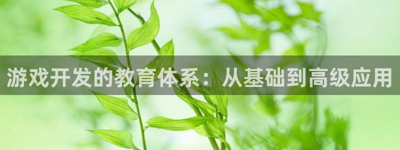 沐鸣2注册开户：游戏开发的教育体系：从基础到高级应用