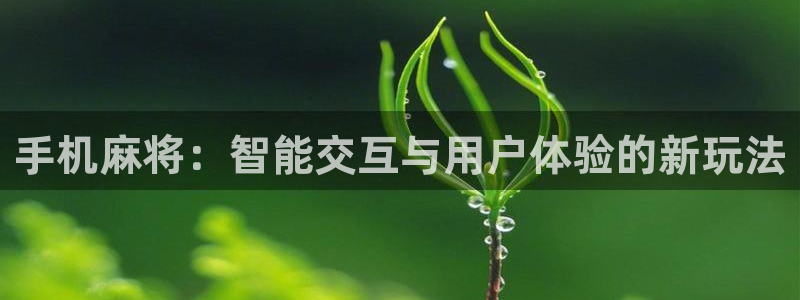 沐鸣娱乐2在线登录：手机麻将：智能交互与用户体验的新玩法