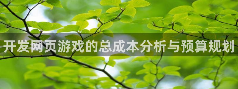 沐鸣2购35994胀：开发网页游戏的总成本分析与预算规划