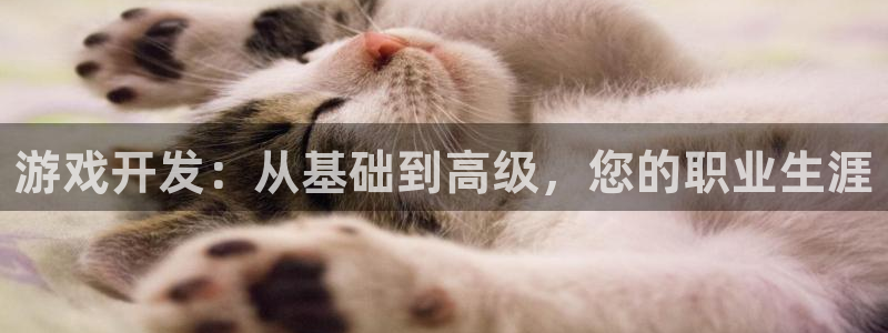 沐鸣2官网注册地址：游戏开发：从基础到高级，您的职业生涯