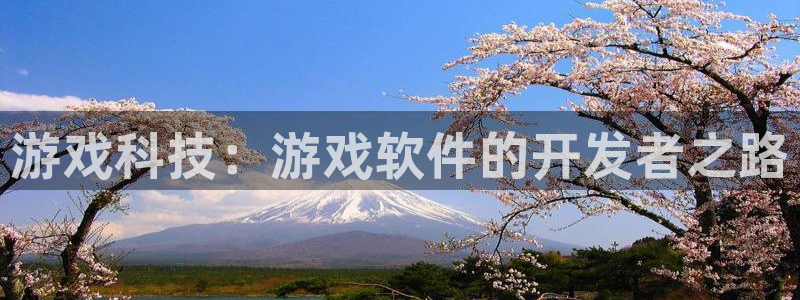 沐鸣2票35994度：游戏科技：游戏软件的开发者之路