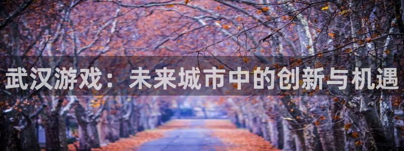 沐鸣娱乐2客服：武汉游戏：未来城市中的创新与机遇