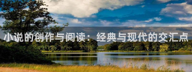 起点评分最高的小说：小说的创作与阅读：经典与现代的交汇点